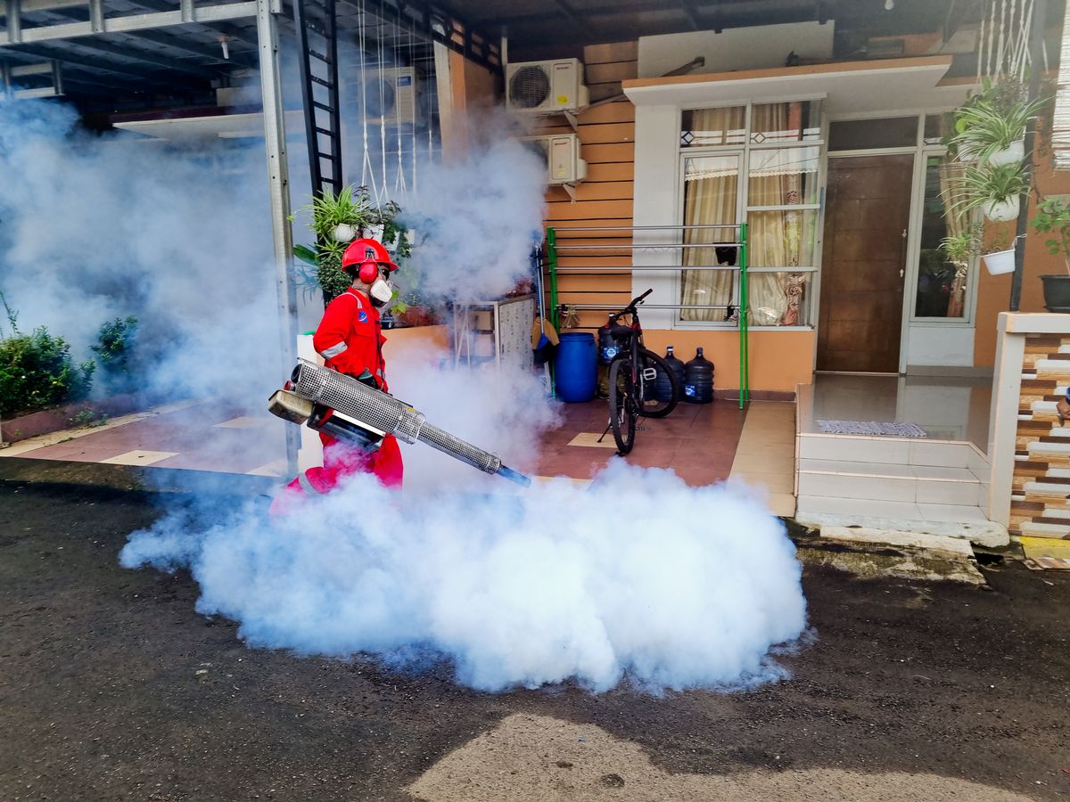 Pest control service work